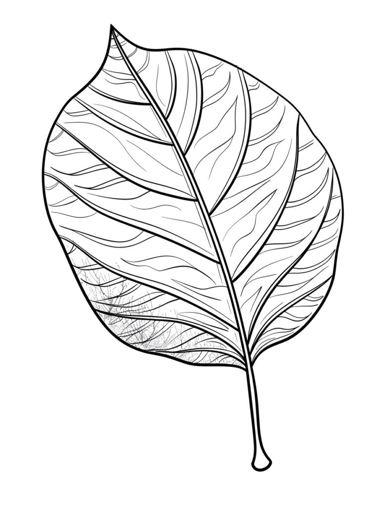 10 Cute Leaf Coloring Pages