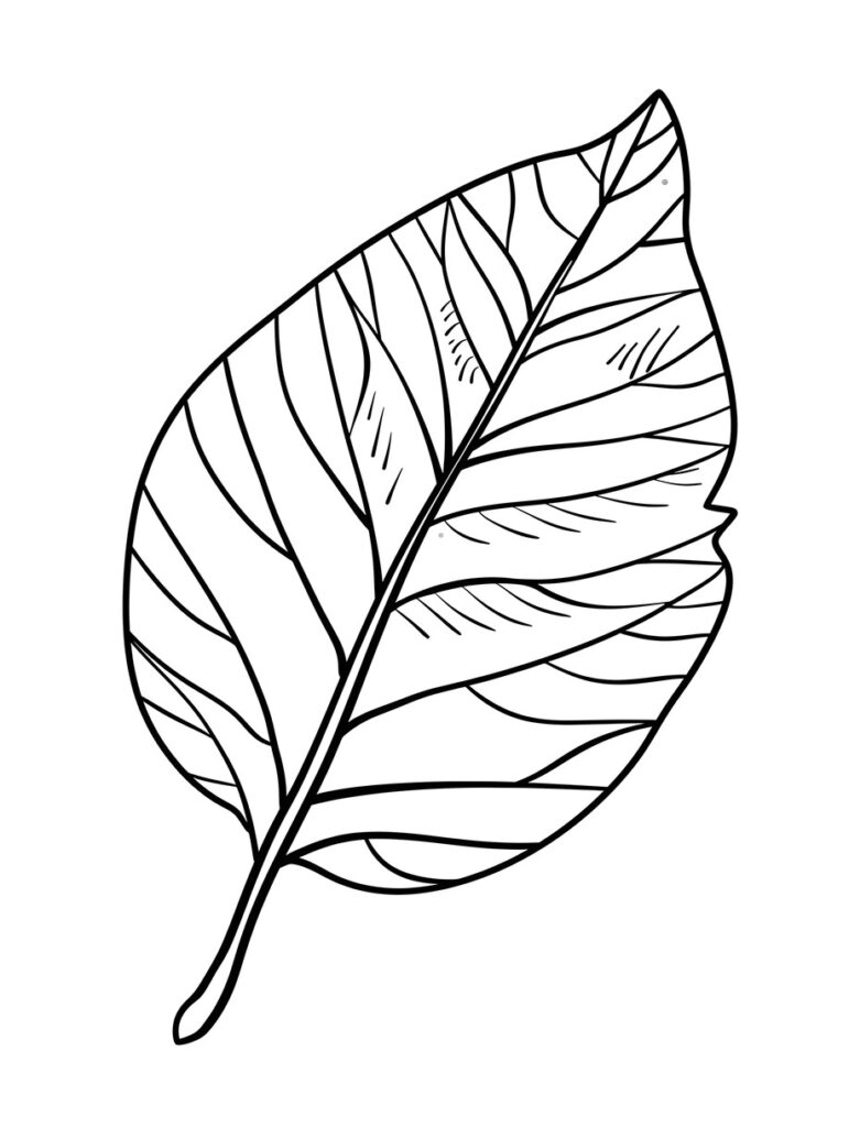 10 Cute Leaf Coloring Pages