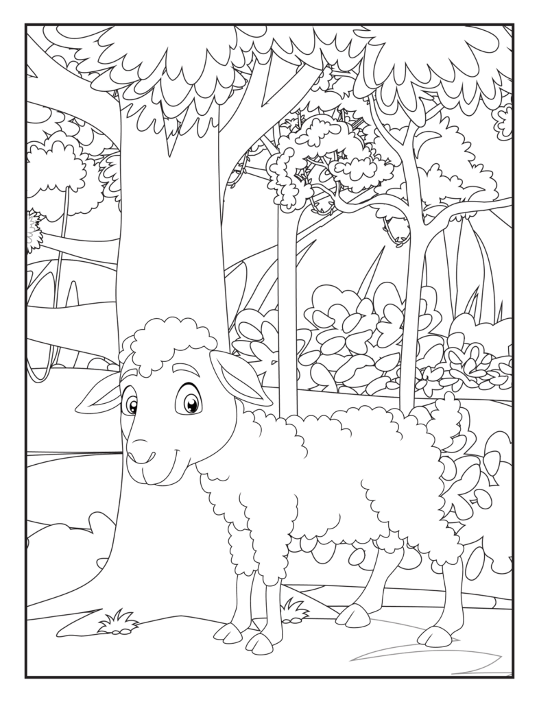 Sheep Coloring Pages for Kids