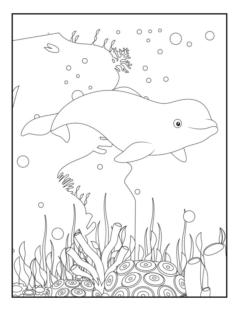 Dolphin Coloring Pages for Kids