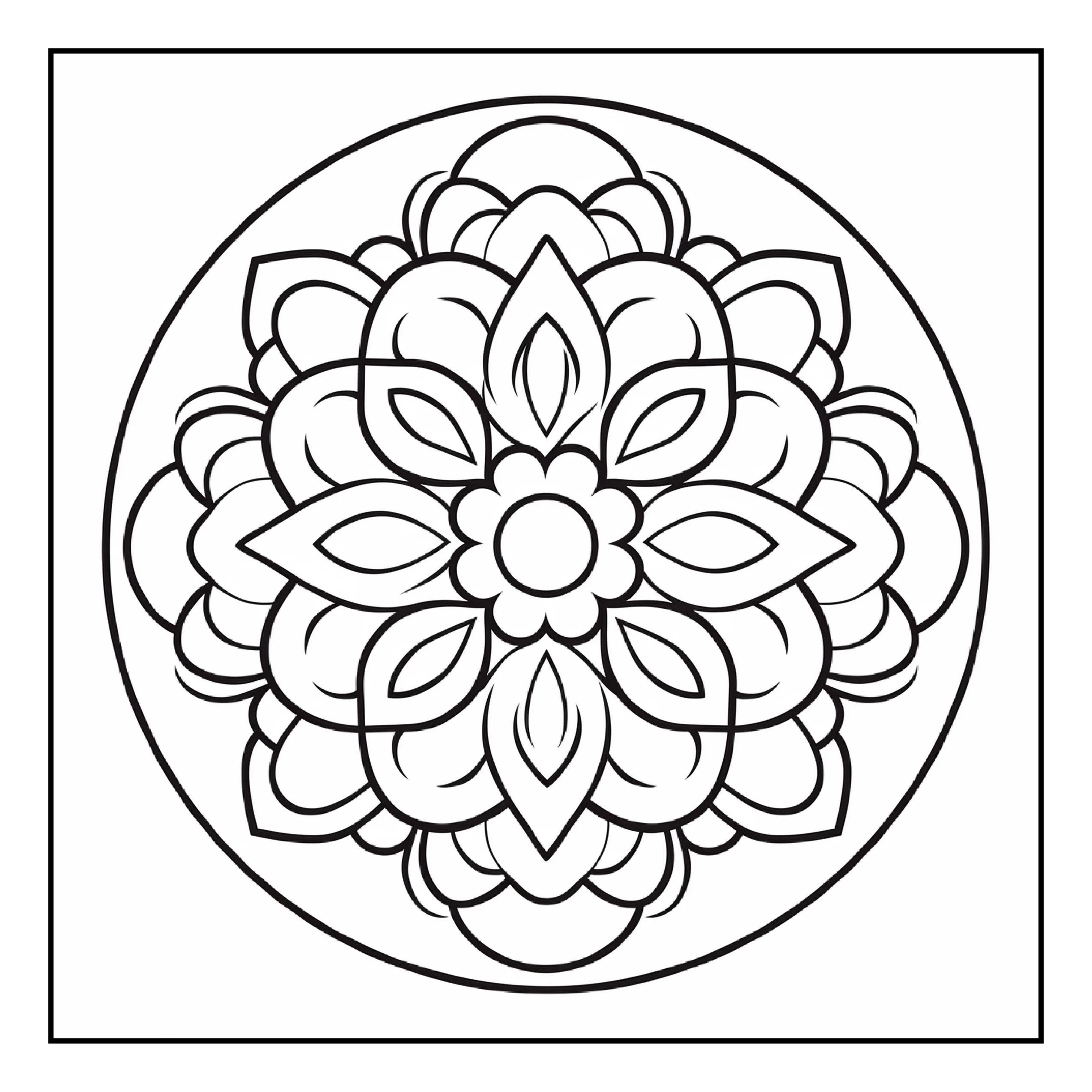 Image Preview