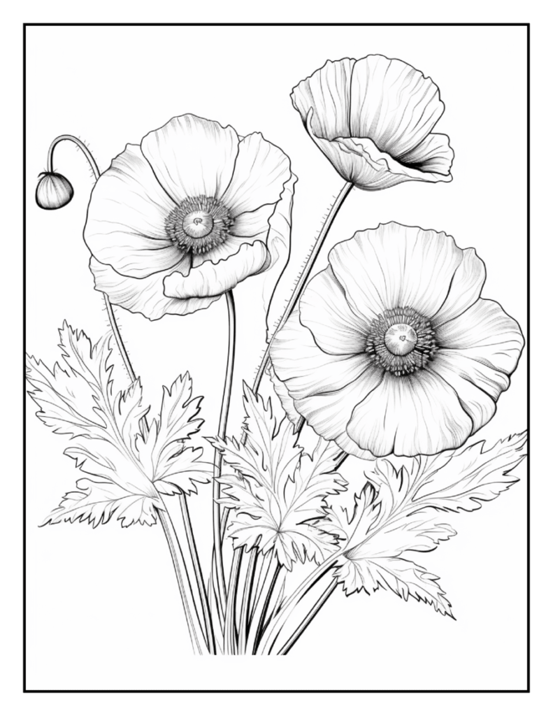 Wildflower Coloring Pages