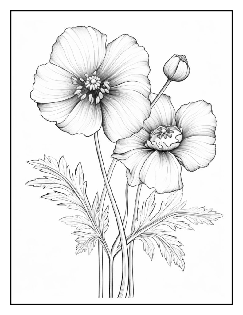 Wildflower Coloring Pages