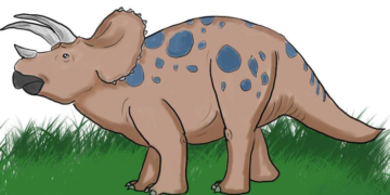 Triceratops