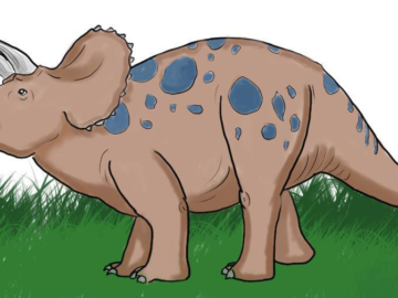 Triceratops