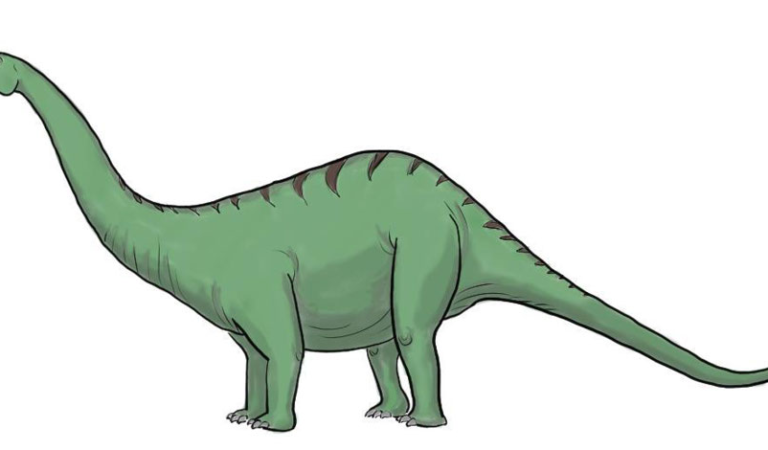 Brontosaurus Drawing