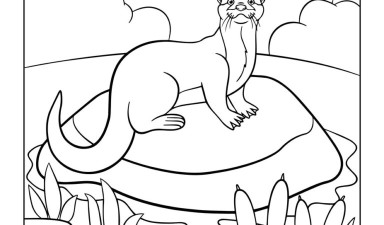 Preschool Ocean Animal Coloring Pages