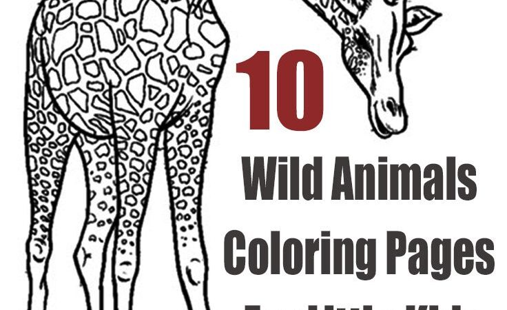 Big eye cute animal coloring pages