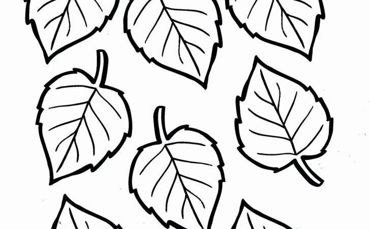 Free coloring pages for kids fall season