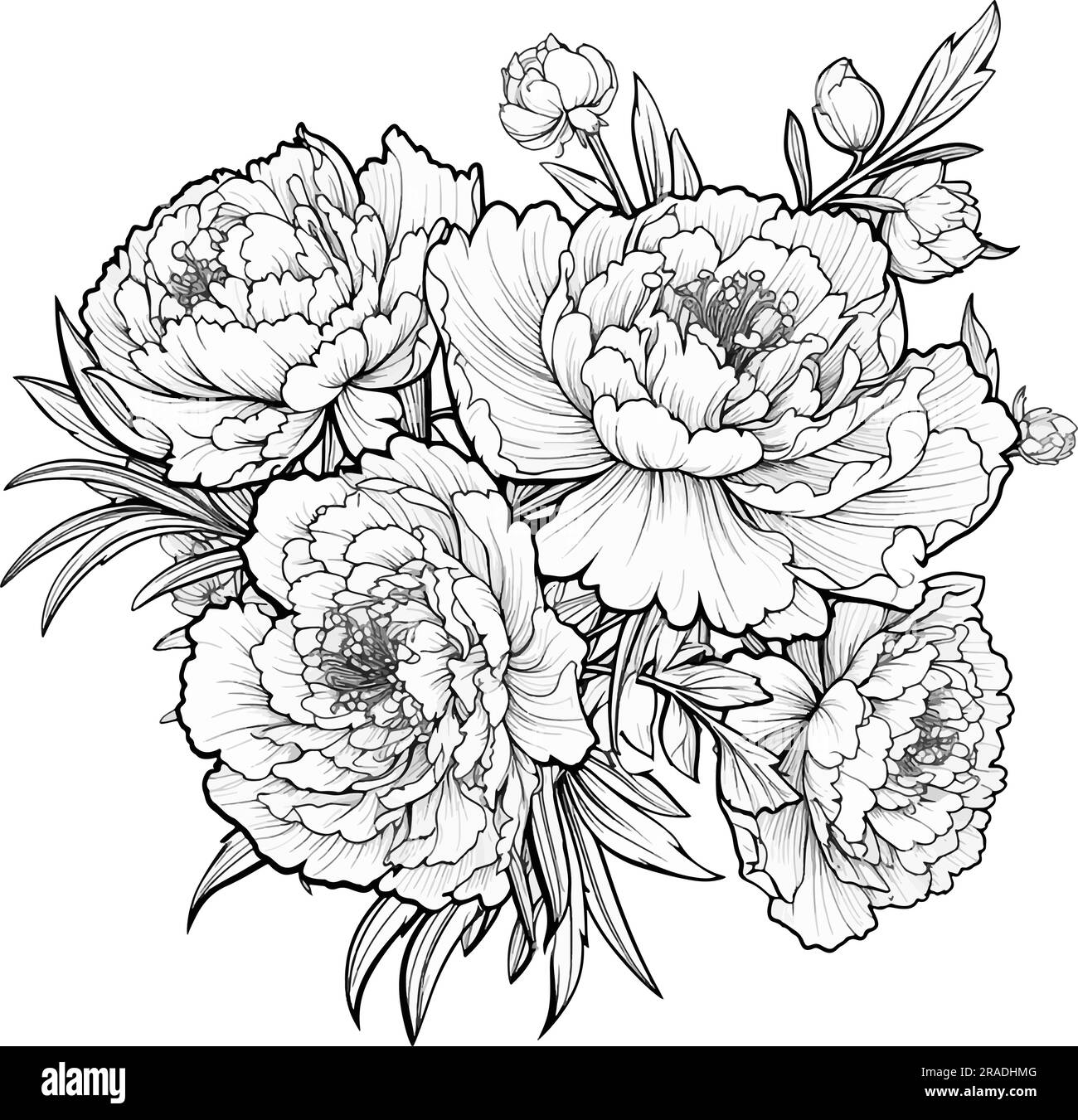 free coloring pages for adults to print