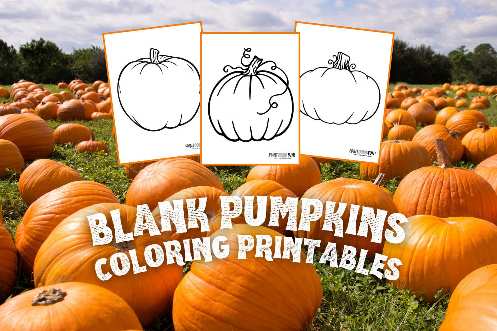 pumpkin coloring pages for adults to print_6666