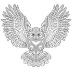 adult owl coloring pages to print_5057