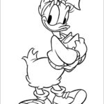 daisy duck with flower coloring page_2085