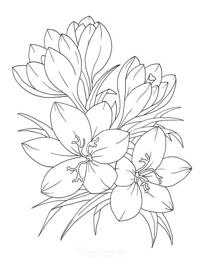 flowers coloring pages for kids