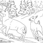 hard coloring pages of animals for kids_1948