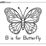 butterfly printable coloring pages for kids_8912