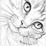cat coloring pages cute and detailed_4842