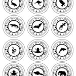 cheetah wild kratts coloring pages_5972
