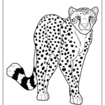 coloring pages of cheetahs