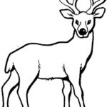 free coloring pages for adults deers_6895