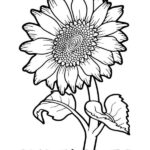 geometric sunflower coloring page_6877