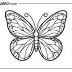 simple butterfly coloring pages for kids_2473