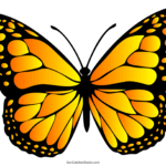 yellow butterfly coloring pages for kids_6852
