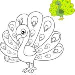 free coloring pages of peacocks_6212