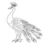free peacock coloring page