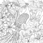 peacock adult coloring page_1237