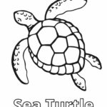 green sea turtle eggs coloring page_2709