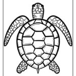 turtle coloring pages sea turtle coloring pages_3121
