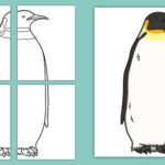 emperor penguin life cycle coloring page_5931