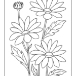 free printable daisy flower coloring pages_8024
